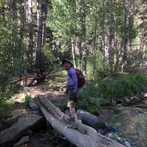 Hiking in the Sierras
